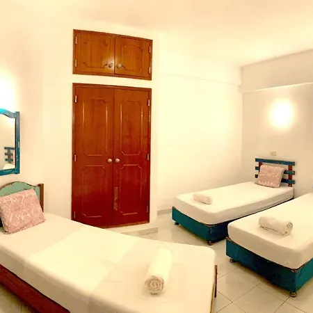 The 게스트하우스